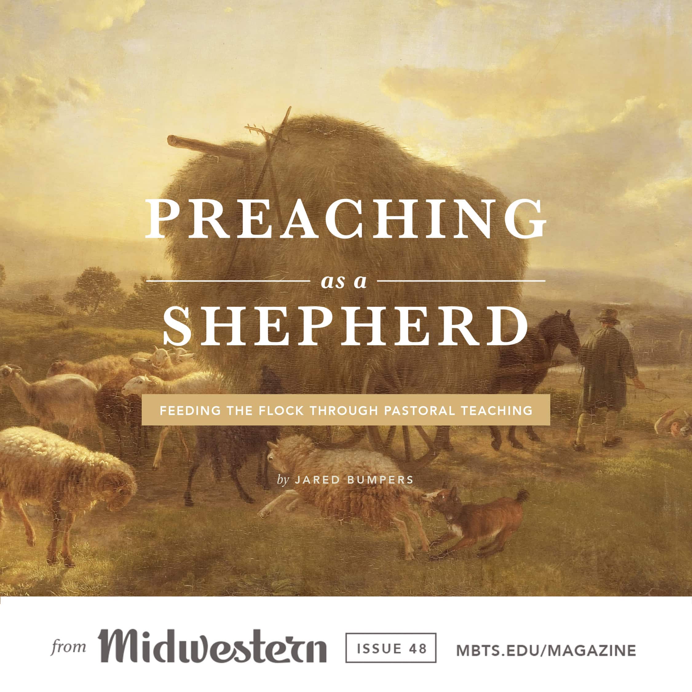 Preaching as a Shepherd